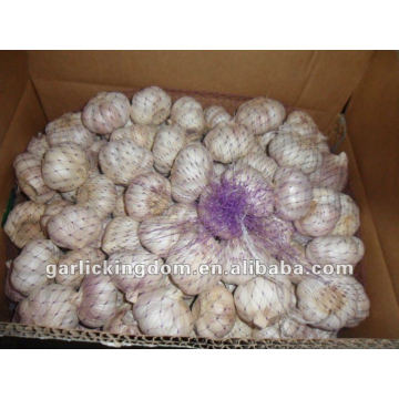 2012 new crop China Fresh Garlic 6.0cm 10kg ctn loose packing